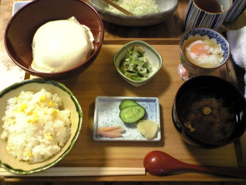 とうふ工房須田:?朝膳840円揚げ以外全景100719