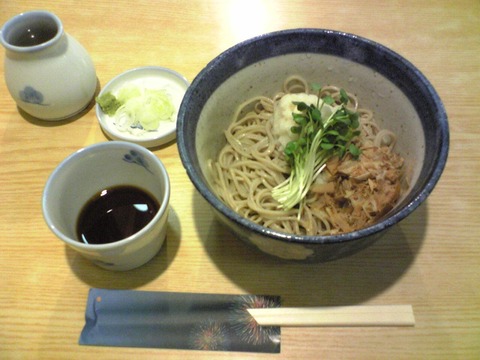 喜久家:?辛味大根そば850円全景100727