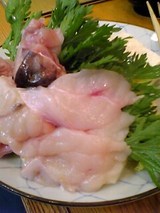 �����������ǲ��ڤ��껮�������06-02-18