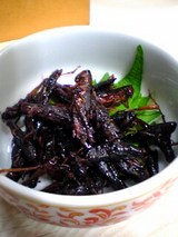 ��ʡ����결���������ʤ�500��06-03-08