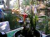 ����ʽ������05-01-01_13-59