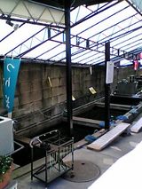 ¶âµûºä¡§Å¹¤Æþ¸ýÁ°¤Î¶âµû¤ÎÄàËÙ06-11-12_12-40.jpg