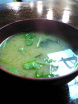 Å´Ê¿¡§¥¥¹¥Æ¡¼¥Ð§¤ËÉÕ¤¯Ì£Á¹½Á06-04-06_20-26.jpg