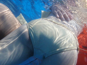 プールの水中で撮影されたエロ写真ｗｗｗ22