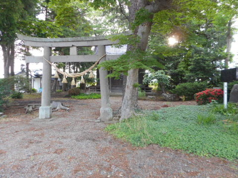 DSCN3422