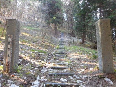 DSCN6217