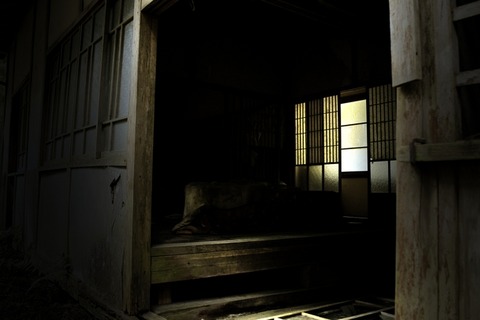 thumb5