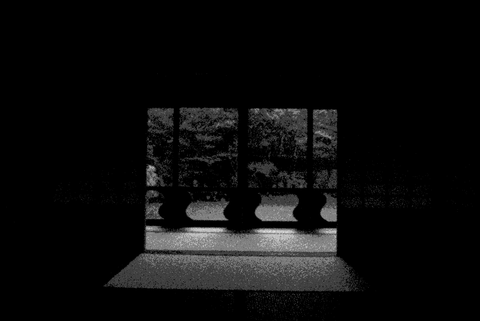 P1000380_TP_V