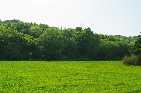 photo0000-0591