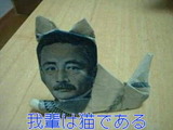 fcd48970.jpg