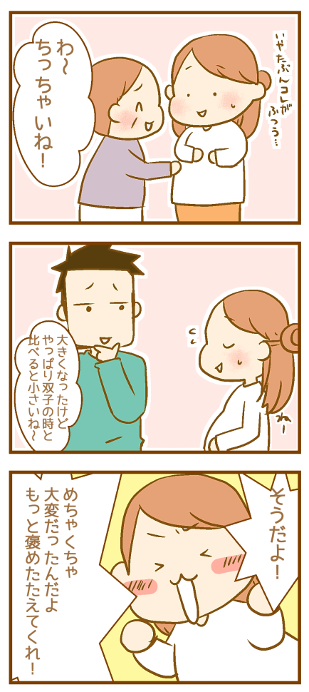 双子母が3人目を身ごもると言われるアレコレ01