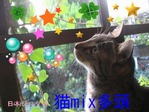 BlogPaint
