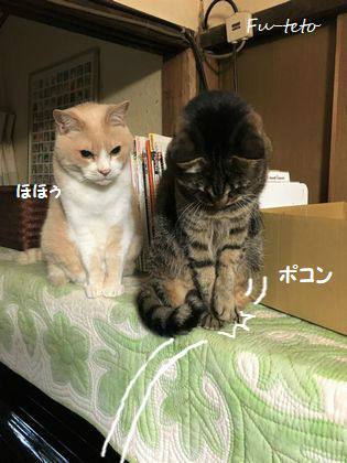 BlogPaint