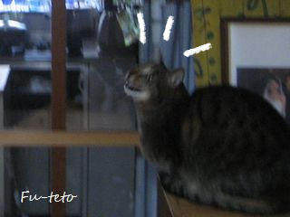BlogPaint