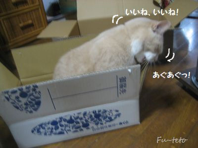 BlogPaint