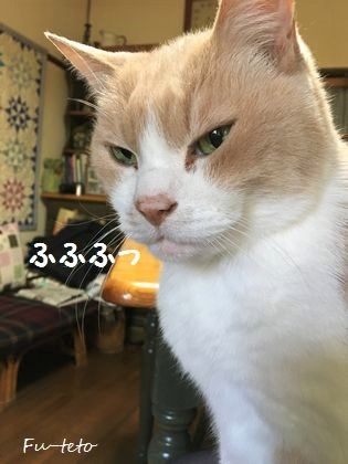 317-6