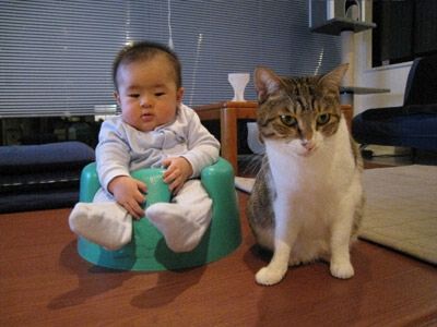 猫と赤ちゃん2