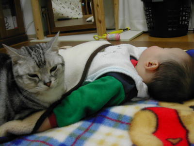 猫と赤ちゃん37