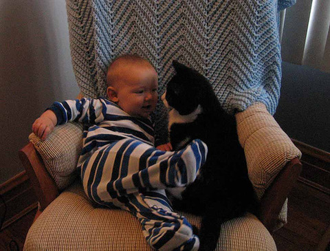 猫と赤ちゃん21