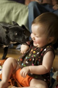 犬と赤ちゃん35