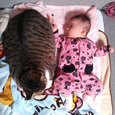 猫と赤ちゃん30