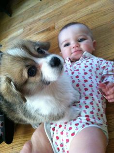 犬と赤ちゃん43