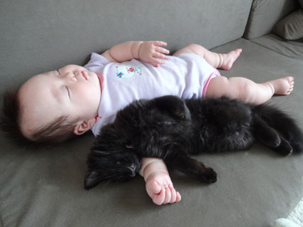 猫と赤ちゃん42