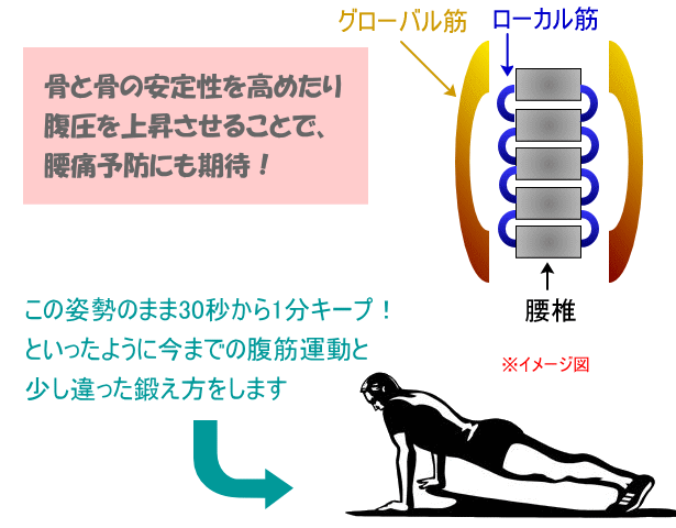 体幹で重要なローカル筋！その効果的なエクササイズとは？ - 理学療法士園部俊晴のブログ