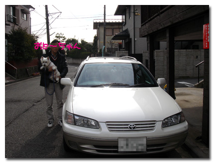 11年の愛車