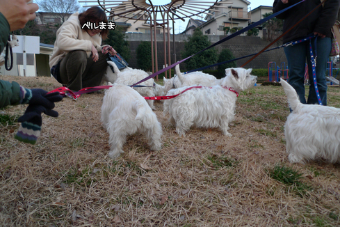 公園