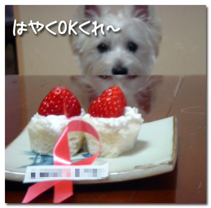 ケーキを前にマテ状態