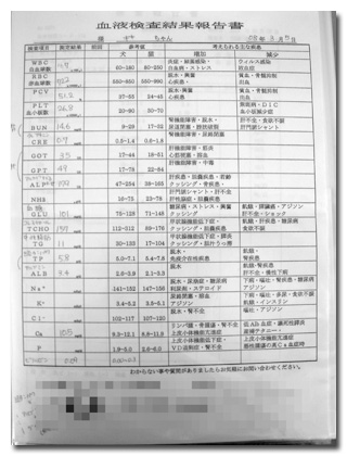 血液検査結果