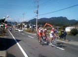 田野