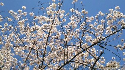 IMG_20180330_131626_resize_20180330_134000