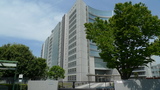 NTT1