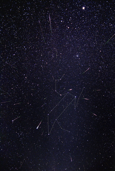 Leonids 2001