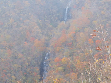 PA290917