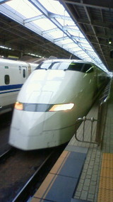629ab229.jpg