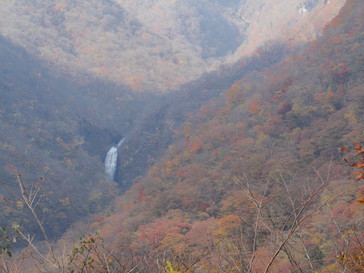 PA290918