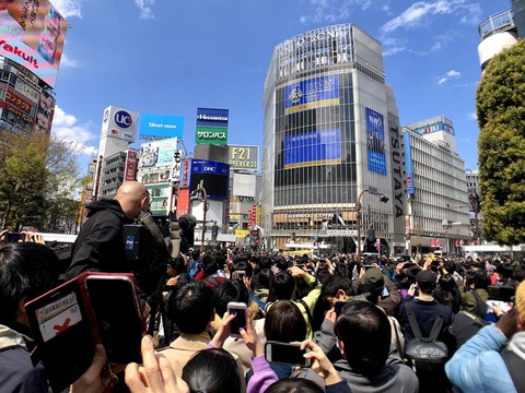 1554090615_photo