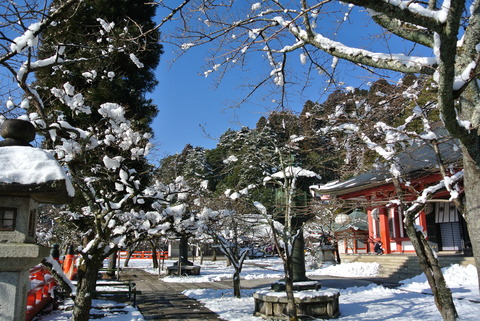 京都_048