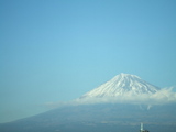 159f028a.jpg