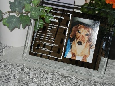 ☆お祝い　記念品に　　　　　　　　　　　　　「ミラーフォトスタンド　ペット血統書」を☆