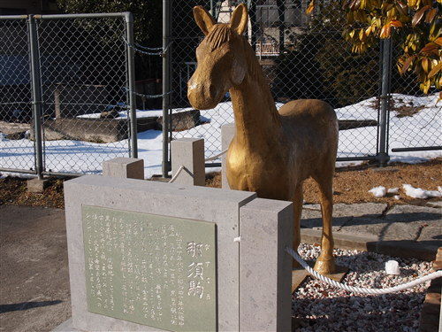 nasugoma