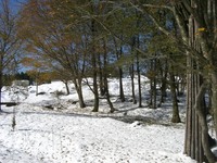�������20081122