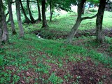 山荘の流れ