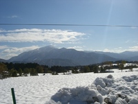 荒島岳20081122