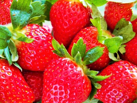 3a530a31338b5248a48344a63e7ed53d_s