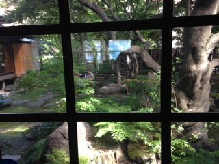 夏の庭