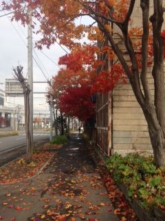 写真8